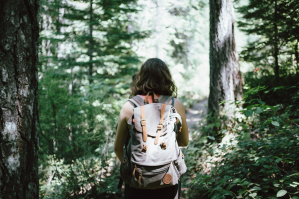 A natureza e seus benefícios: como aproveitar a quarentena para melhorar sua qualidade de vida