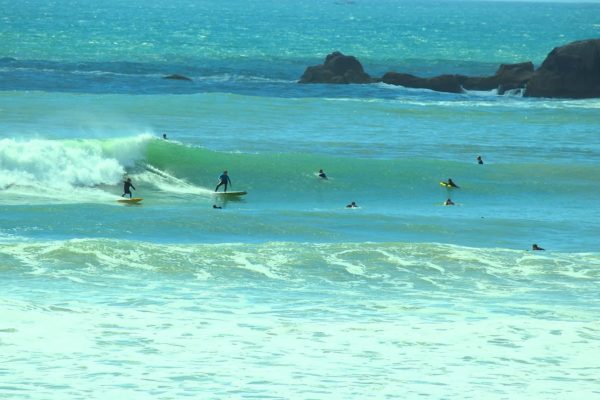 Aprenda algumas dicas de surf para iniciantes