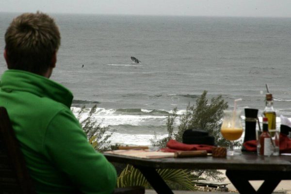 Festival Gastronômico da Baleia Franca movimenta a Praia do Rosa