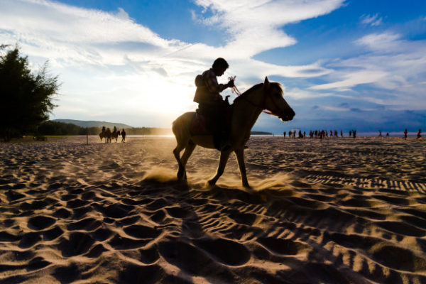 Passeio a cavalo: um jeito diferente de explorar a Praia do Rosa