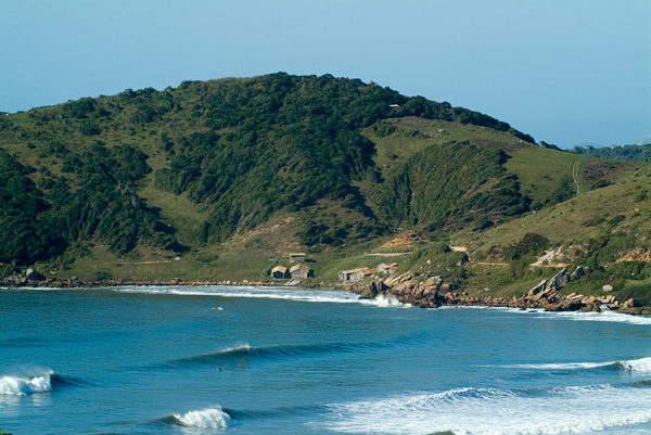 Praia do Rosa: A Favorita entre os Surfistas em Santa Catarina