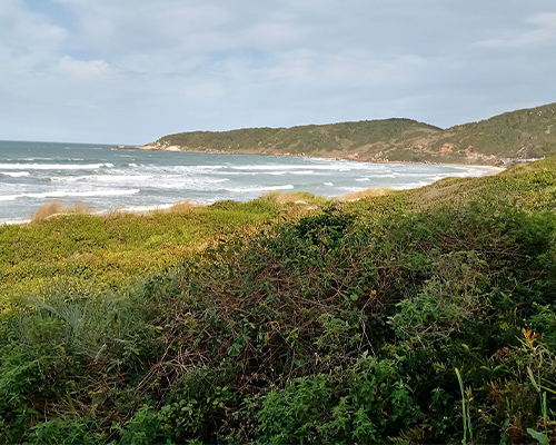 Hospedaria-das-Brisas,-na-vibe-da-Praia-do-Rosa2 Hospedaria-das-Brisas,-na-vibe-da-Praia-do-Rosa2