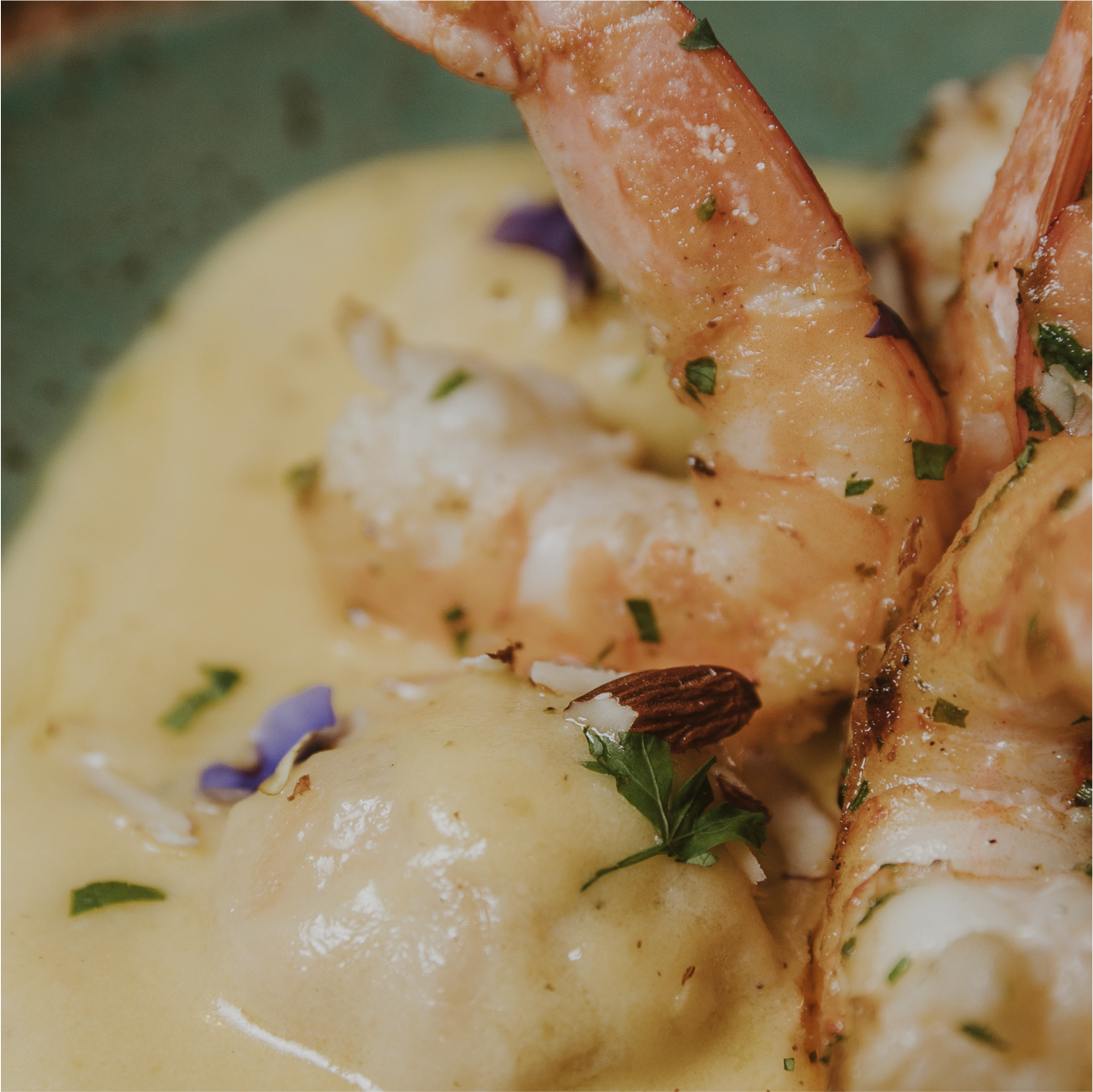 praiadorosa-santacatarina-brasil-refugiodopescador-camarao-01